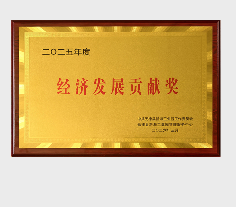 2025年度经济发展贡献奖