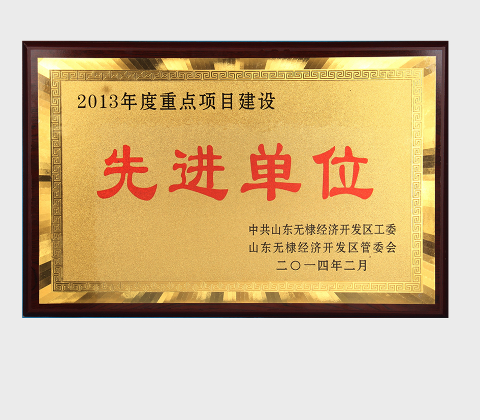 重点建设项目先进单位
